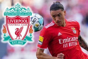 โต๊ะแทงบอล